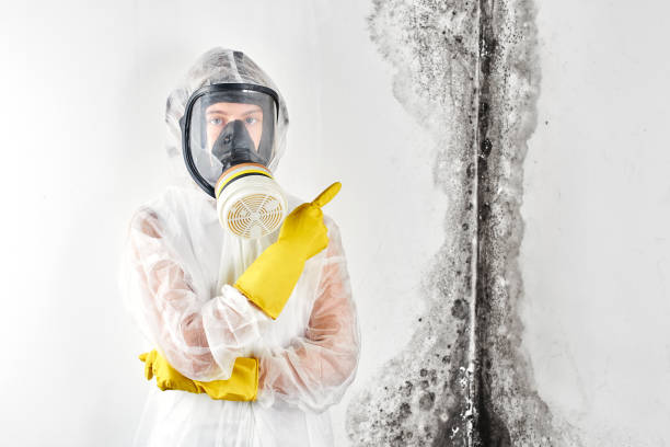 Why You Should Choose Our Mold Remediation Services in Martha Lake, WA